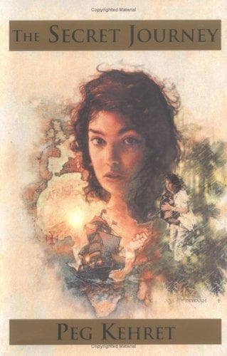 Cover image for The secret journey