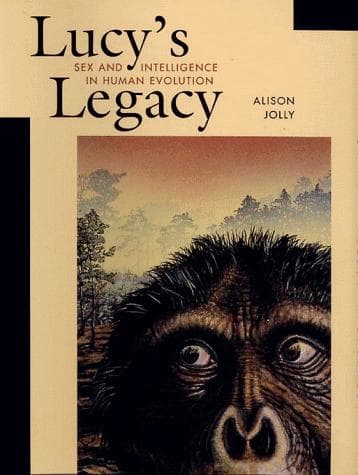 Cover image for Lucys Legacy