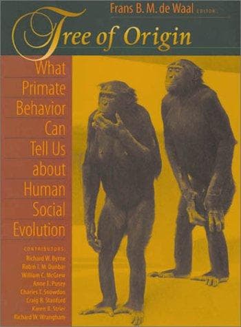 Cover image for Tree of Origin