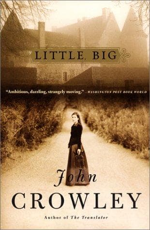 Cover image for Little, big