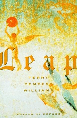 Cover image for Leap