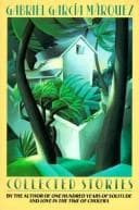 Cover image for Collected stories