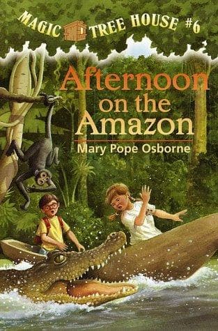 Cover image for Afternoon on the Amazon