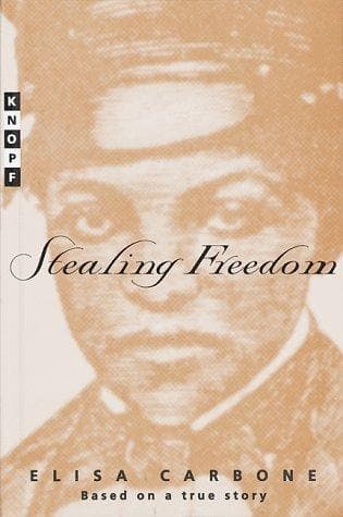 Cover image for Stealing freedom