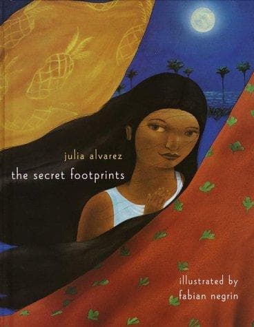 Cover image for The secret footprints