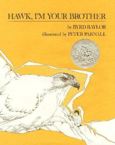 Cover image for Hawk, I'm your brother