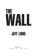 Cover image for The wall