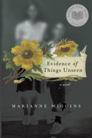 Cover image for Evidence of things unseen
