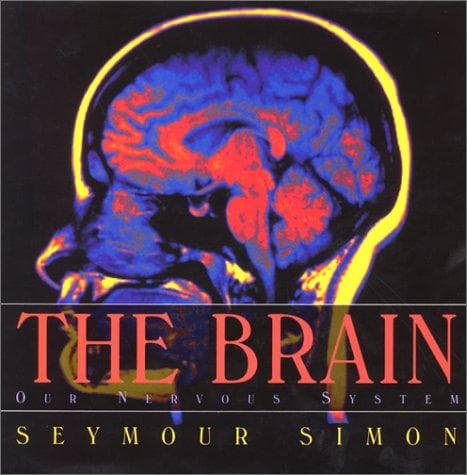 Cover image for The Brain