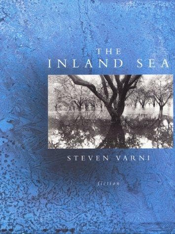 Cover image for The inland sea