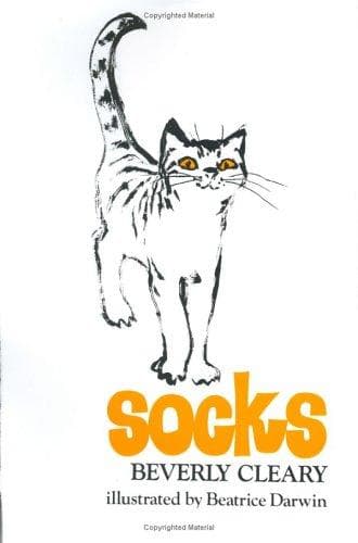 Cover image for Socks.