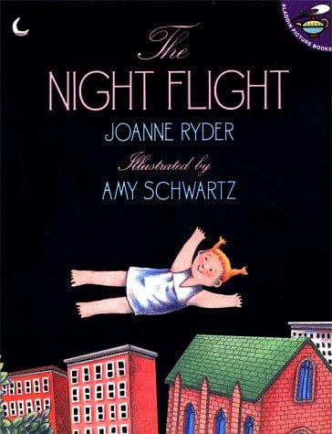 Cover image for The Night Flight (Aladdin Picture Books)
