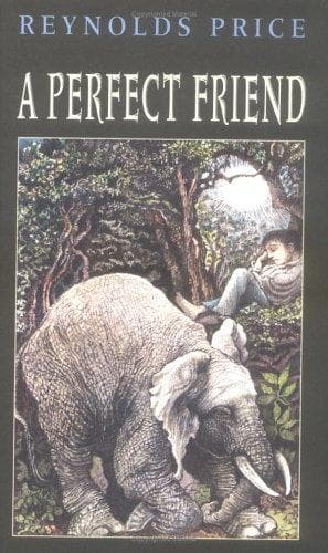 Cover image for A perfect friend