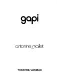 Cover image for Gapi