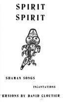 Cover image for Spirit, spirit
