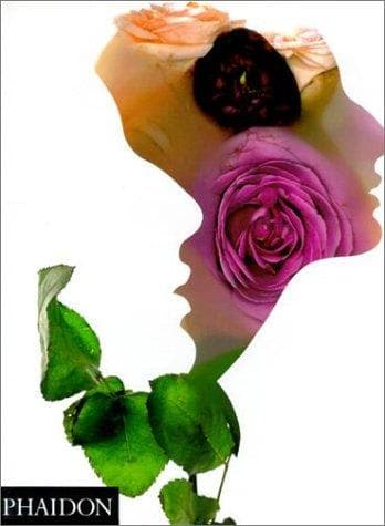 Cover image for The Impossible Image