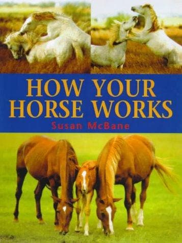 Cover image for How Your Horse Works