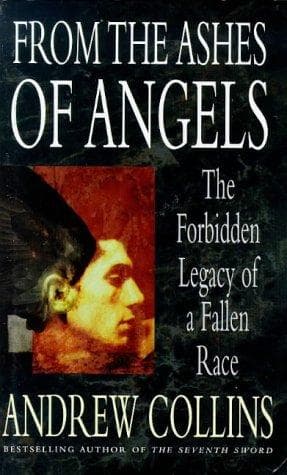 Cover image for From the Ashes of Angels