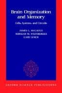 Cover image for Brain Organization and Memory