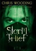 Cover image for Storm Thief
