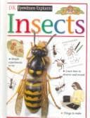 Cover image for Insects (Eyewitness Explorers)