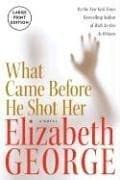 Cover image for What Came Before He Shot Her LP