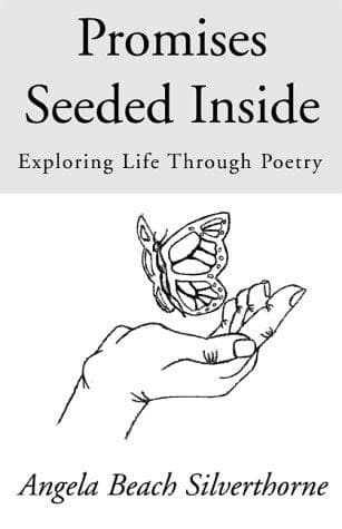 Cover image for Promises Seeded Inside