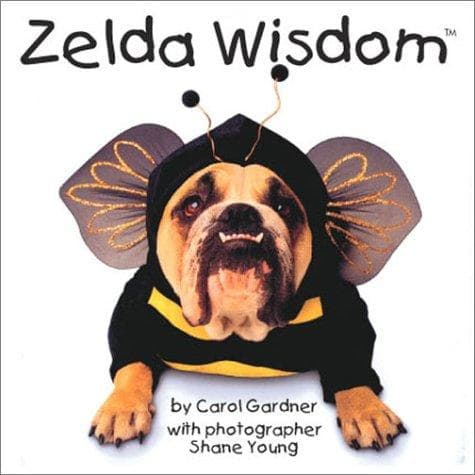 Cover image for Zelda Wisdom (Zelda)
