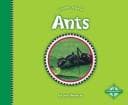 Cover image for Ants (Nature's Friends)