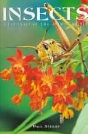 Cover image for Insects
