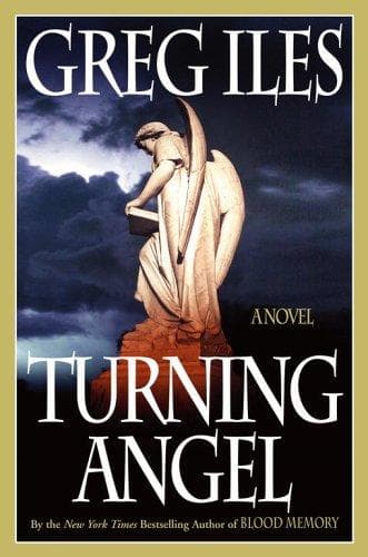 Cover image for Turning angel