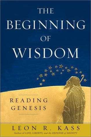 Cover image for The Beginning of Wisdom