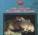 The world's strangest sharks