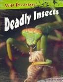 Cover image for Deadly Insects (Wild Predators)