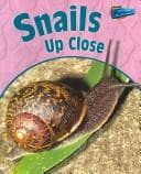 Cover image for Snails Up Close (Minibeasts Up Close)
