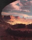 Cover image for The Past in Perspective