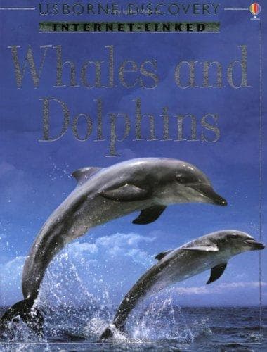 Cover image for Whales and Dolphins