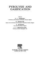 Cover image for Pyrolysis and Gasification (EUR)
