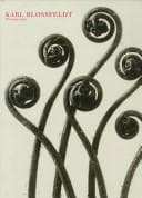 Cover image for Karl Blossfeldt