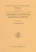Cover image for Ancient Egyptian magical texts