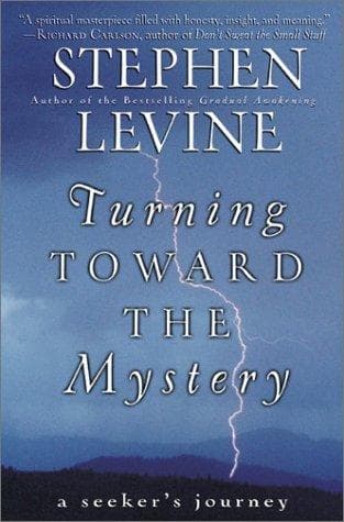 Cover image for Turning toward the mystery