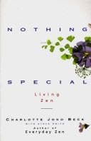 Cover image for Nothing Special
