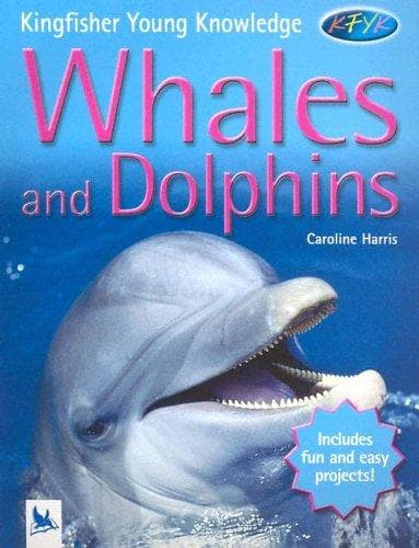 Cover image for Whales and Dolphins (Kingfisher Young Knowledge)