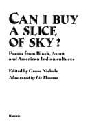 Cover image for Can I buy a slice of sky?