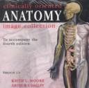 Cover image for Clinically Oriented Anatomy