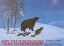 Cover image for How the Hibernators Came to Bethlehem
