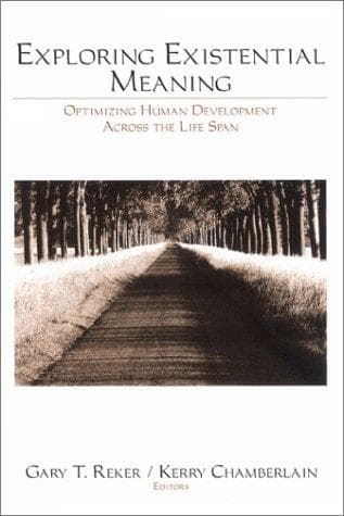 Cover image for Exploring Existential Meaning