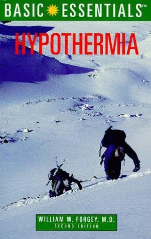 Cover image for Basic essentials.