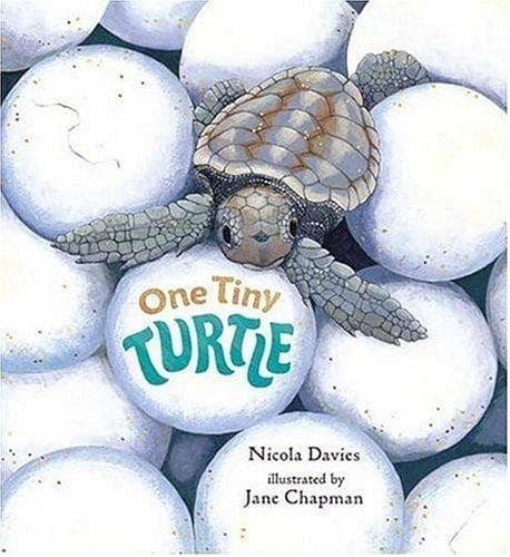 Cover image for One Tiny Turtle