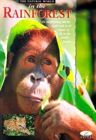 Cover image for In the Rainforest (Natural World)